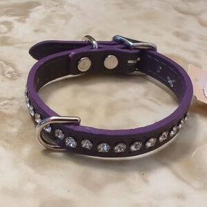 Purple Dog Collar with Rhinestones